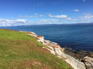 Discover Picnic Island, Tasmania