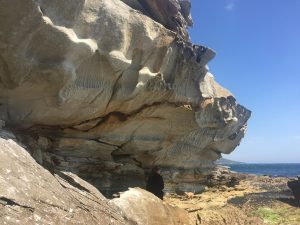 Picnic Island Experience Tasmania